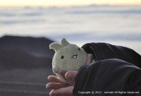 ハワイ島　世界３大パワースポットで過ごす　10日間